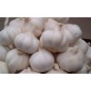 邳州优质大蒜   5.5cm     6.0cm  500吨