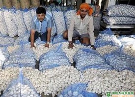 印度：蒜农被迫低价抛售大蒜 ()