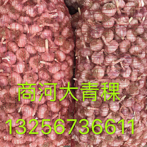 QQ图片20180614105753