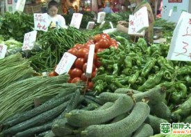 重庆：8月蔬菜价格稳中有升 ()