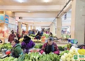 南宁：蔬菜价格进入冬季高位模式 ()