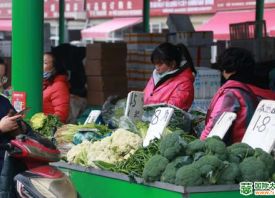 河南蔬菜价格呈季节性波动 ()