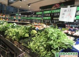 重庆：受降雨影响 蔬菜供应成本上涨 ()