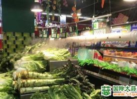 重庆：供需旺季 菜价上涨 ()