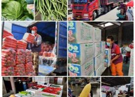 上海：菜均价突破300元/百公斤 ()