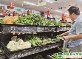 洛阳：蔬菜身价倍增 ()