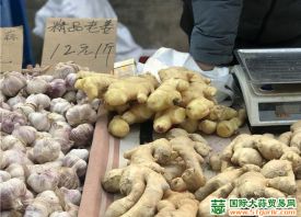 兰州：绿叶菜、大姜等蔬菜价格大涨 ()