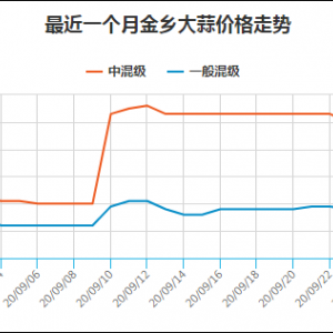 10月19日下午金乡大蒜价格行情微涨