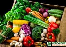 绍兴：蔬菜价格回落 ()