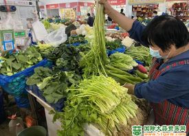 上海青浦：绿叶菜价格连连下滑 ()