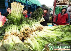 上海：储备充足 菜价小幅微升 ()