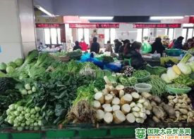 上海青浦：保障供应 菜价维持稳定 ()