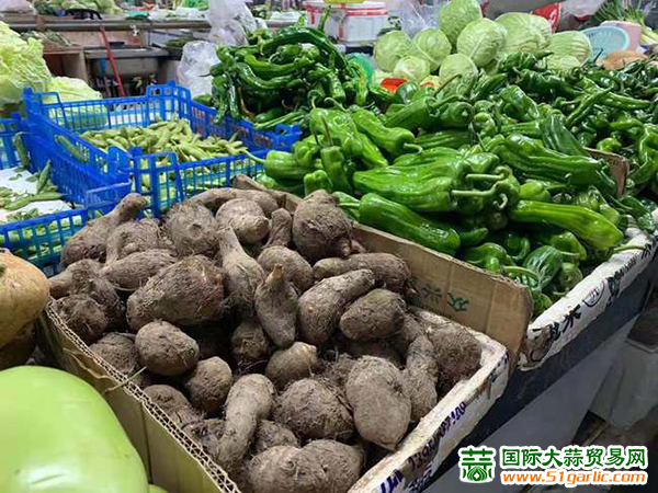 九江:油菜、青椒涨幅较大