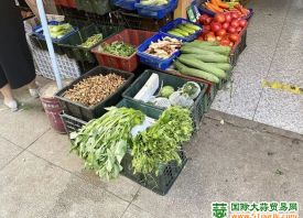 成都：蔬菜价格“喜人” ()