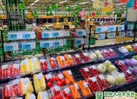南充：蔬菜价格持续地位 ()