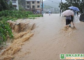 河南：暴雨供给不畅 菜价或将上涨 ()