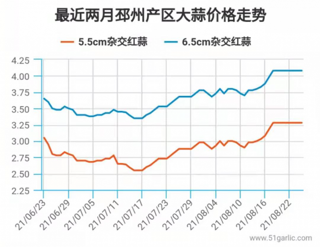 圖片5