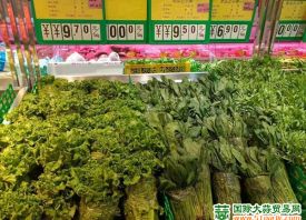 沧州：绿叶菜菜价直逼肉价 ()