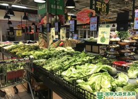 山东寿光：蔬菜价格逐渐回落 ()