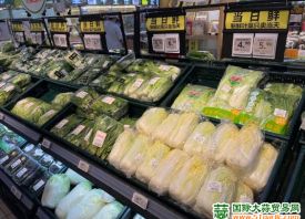 广州：市场供应增多 菜价回落 ()