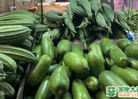 广东：蔬菜价格平稳回落 ()