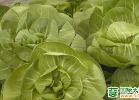 南京：蔬菜供应正常 ()