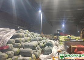 河南安阳：疫情期间 蔬菜价格平稳 ()
