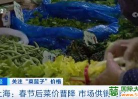 上海：节后供应恢复 菜价下调 ()