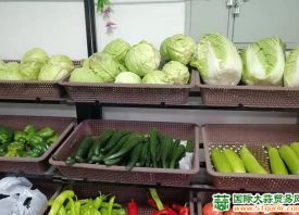 大同：生鲜蔬菜价格回落 ()