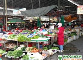 广西玉林：“雨水”节气后菜价上涨 ()