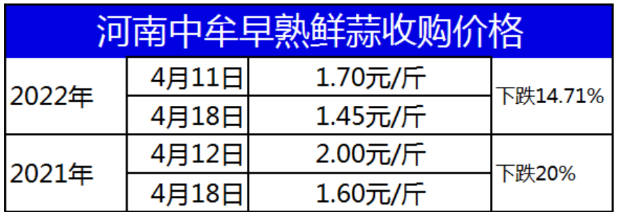 图片15