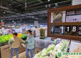 济南：蔬菜价格全线上涨 ()