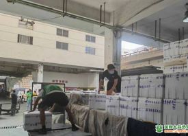 南京：蔬菜运输全程冷链