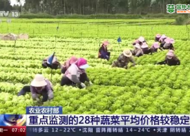 农业农村部：蔬菜价格保持稳定 ()