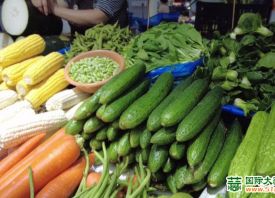 上海：换季蔬菜价格稳中有升 ()