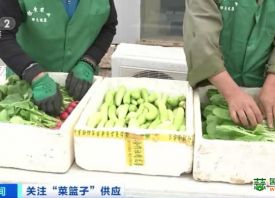 北京：十月菜价季节性下降 ()