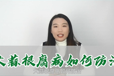 大蒜根腐病如何防治 ()