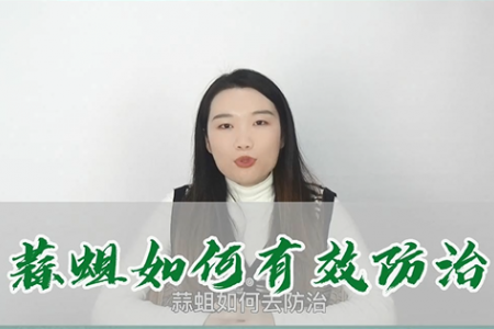 蒜蛆如何有效防治 ()