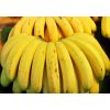宏鸿新鲜水果配送-香蕉