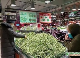 大庆：冬季“当家菜”价格降了
