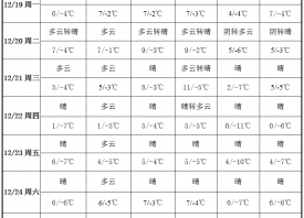 蒜区低温持续 局部产区降雪 ()