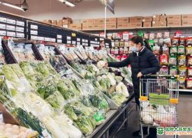 清远：蔬菜价格接连上升