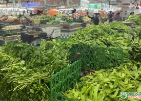 广州：春季过后蔬菜价格下调 ()