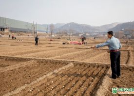 山西柳林：发展特色大蒜产业 ()