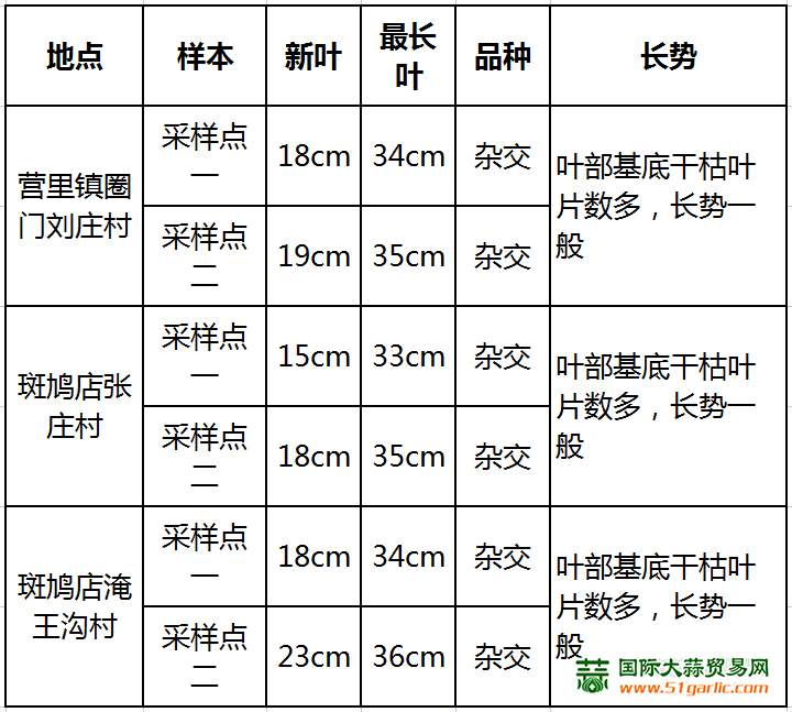 图片11