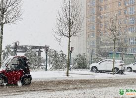 河南3月飘雪 蒜苗还好吗？ ()