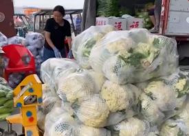 河南：应季蔬菜上市 菜价走低 ()