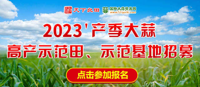2023’产季大蒜高产示范田、示范基地招募启示 ()