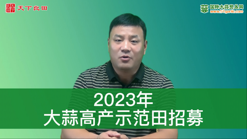2023年大蒜高产示范田招募 ()
