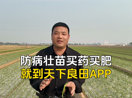 防病壮苗买药买肥就到天下良田
